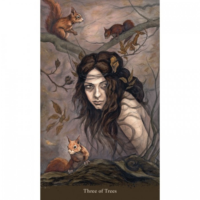 Witch Sister Tarot - Llewellyn Κάρτες Ταρώ